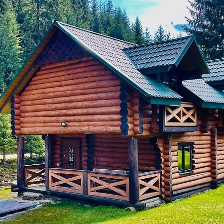 У Віти Котедж4 Synevyrsʼka Polyana Eksteriør billede